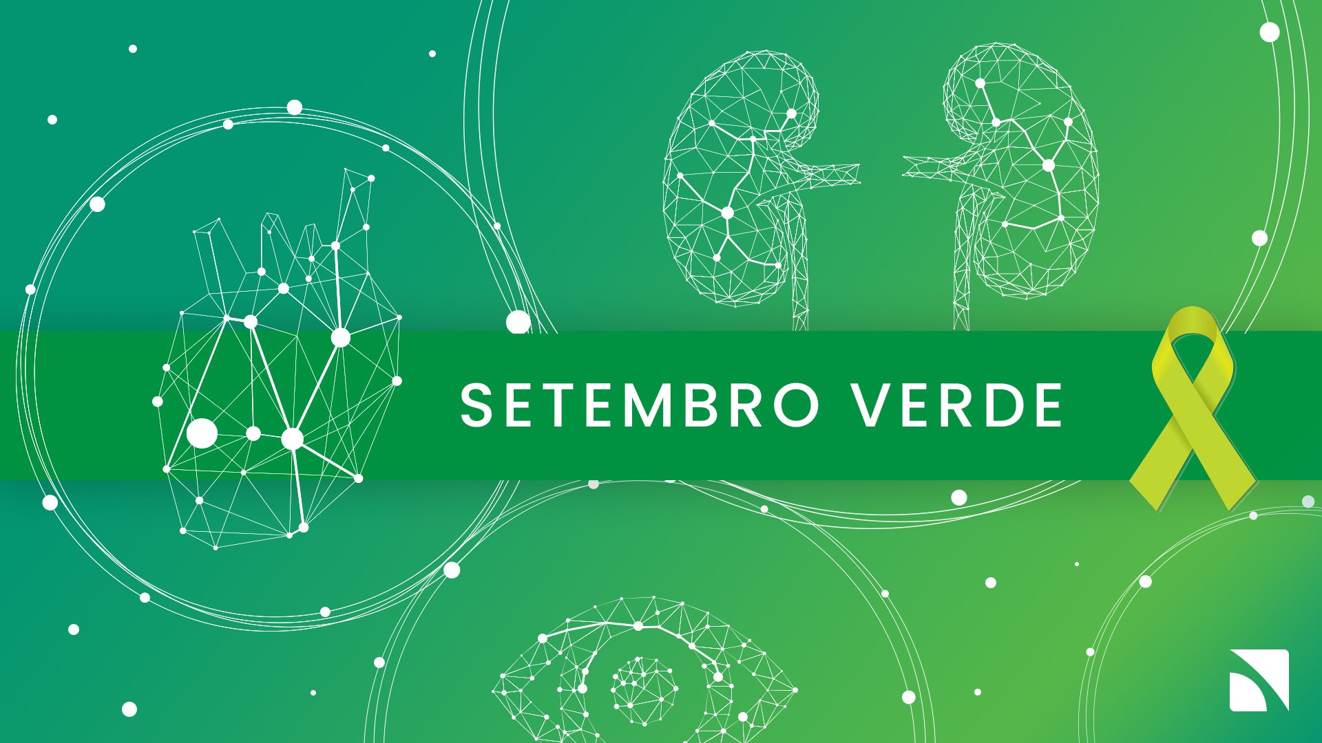 Anahp lança série “Setembro Verde” com especialistas sobre transplante e doação de órgãos